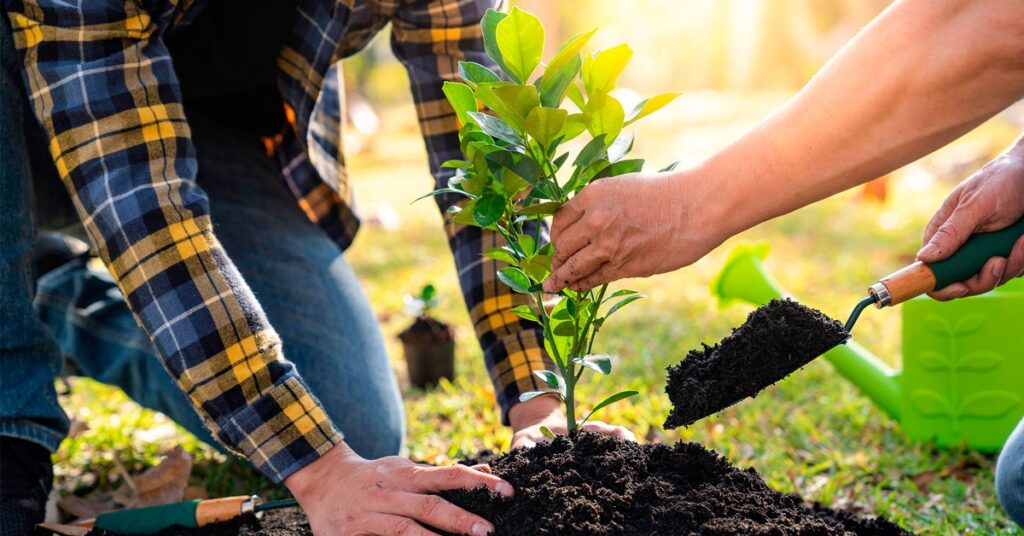 CO2 - ny kunnskap om opptak i planter