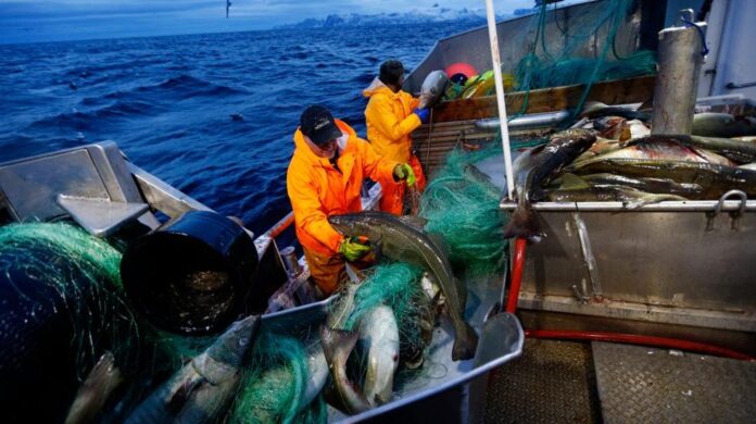 Hele EU bak fiskekritikk av Norge