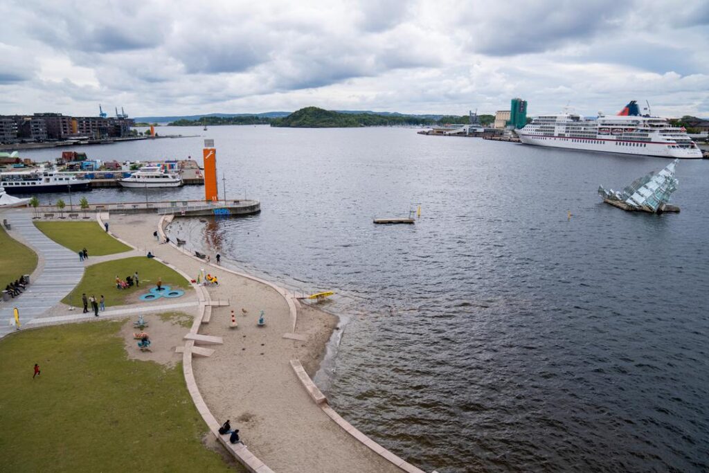 Brun Oslofjord vekker bekymring – kraftig oppblomstring av alger