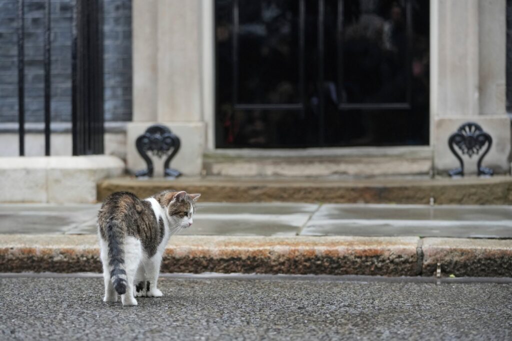 Storbritannia, Downing Street 10 | Katten Larry tar imot sin sjette britiske statsminister