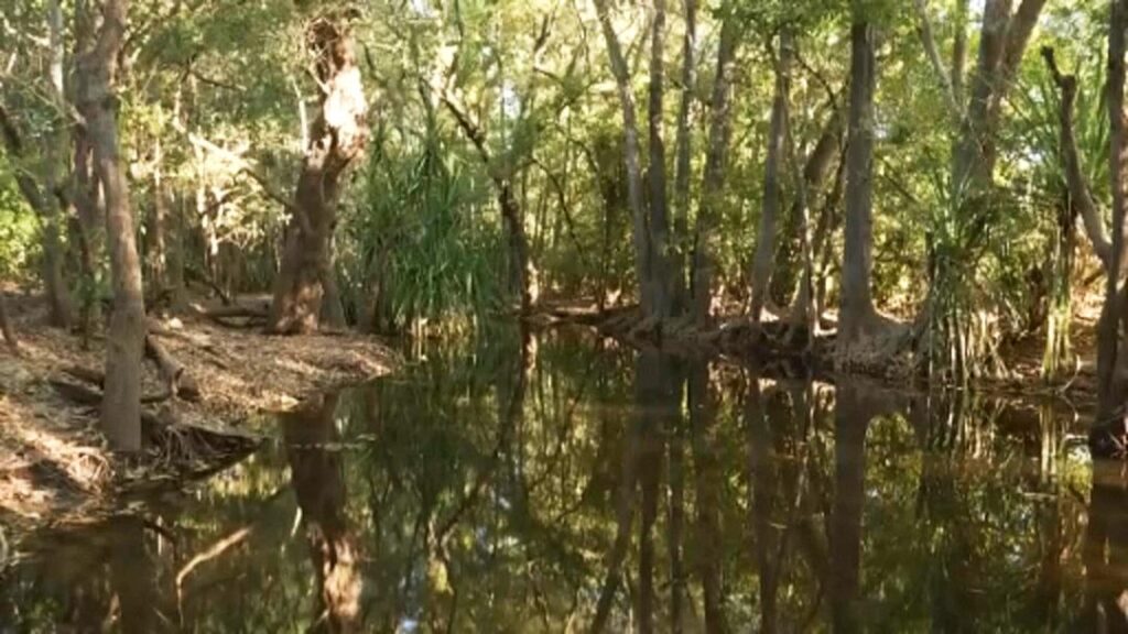 Krokodille skutt i Australia etter å ha drept jente som badet